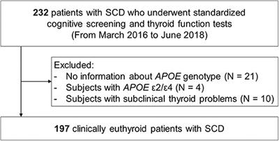 Interactive Effects of Apolipoprotein E ε4 and Triiodothyronine on Memory Performance in Patients With Subjective Cognitive Decline